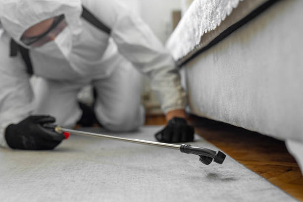 Professional Termite Control technician working in Hansford County County, TX